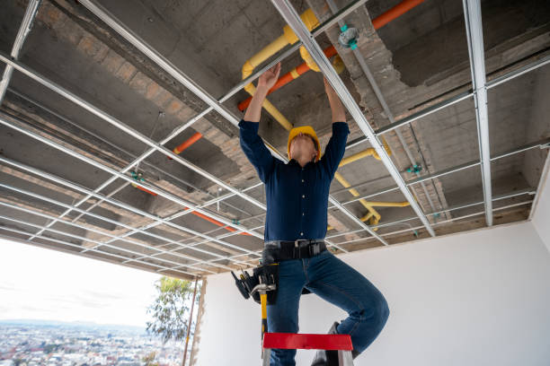 Best Plumbing Inspection Services  in Dulce, NM