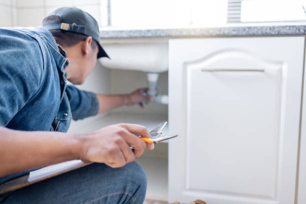 Best Plumbing Services Near Me  in Dulce, NM